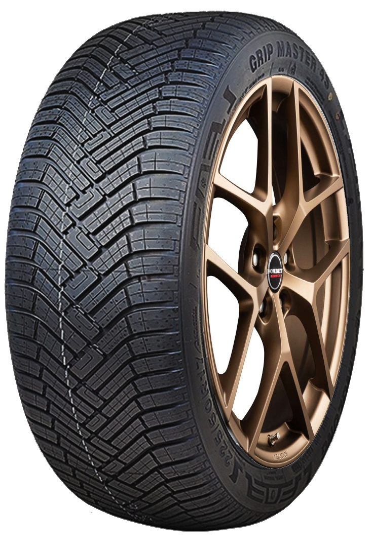 205/55 R17 95W XL SPORT MASTER 4S EU